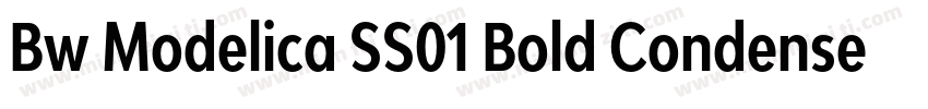 Bw Modelica SS01 Bold Condensed字体转换